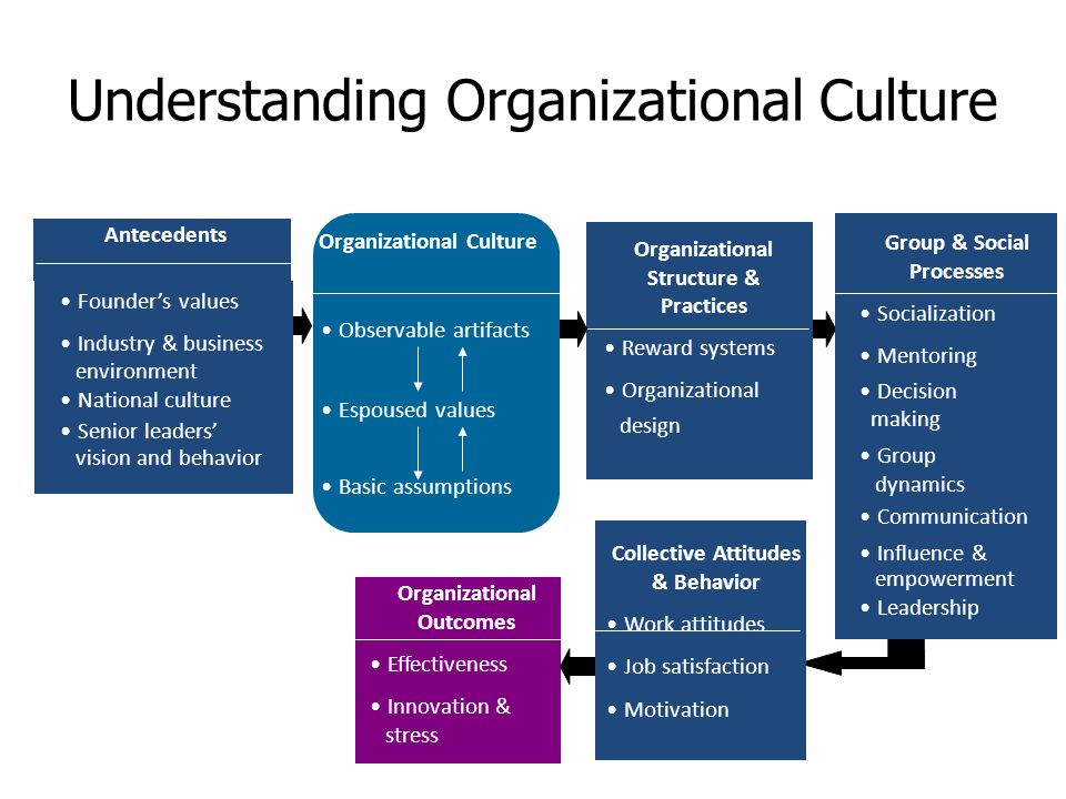 culture in organization culture in organization