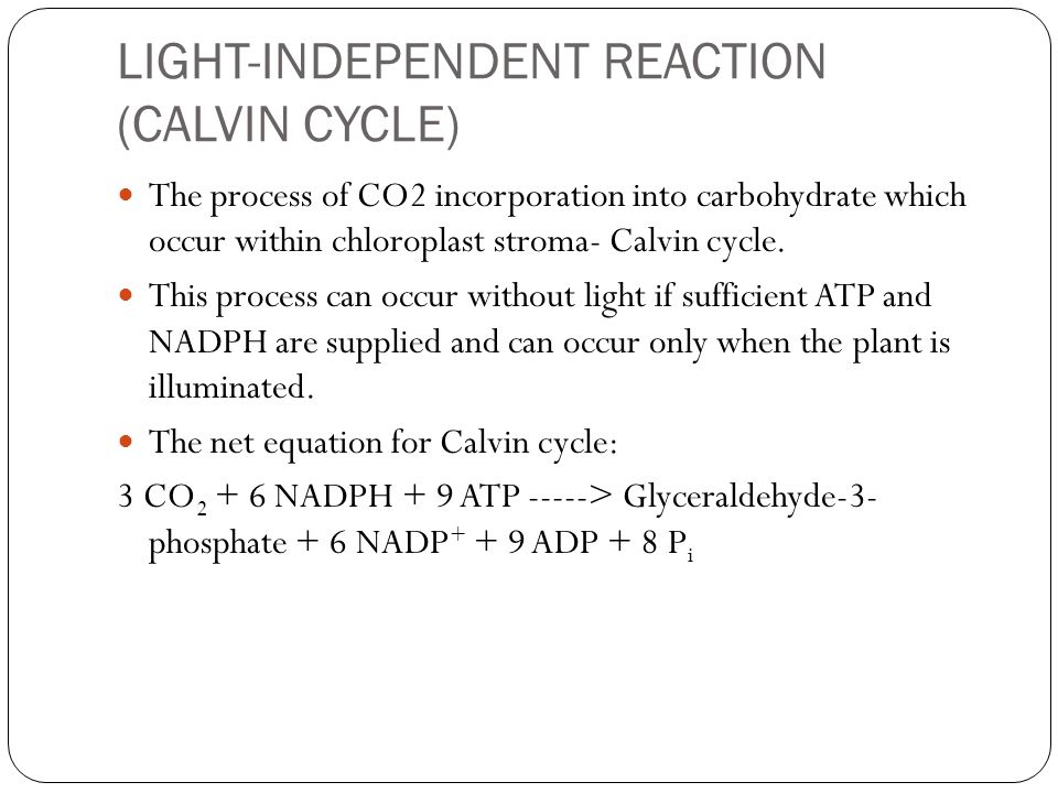 Calvin Cycle Equation Talkchannels Khadijah Hanim Bt Abdul Rahman Ppt Download