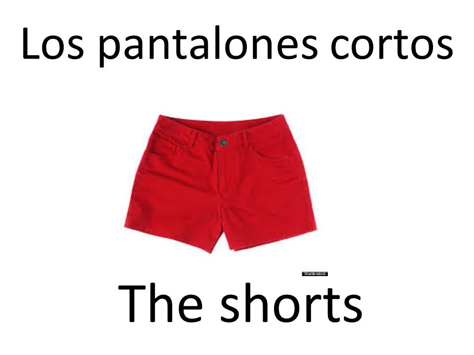 Los pantalones cortos The shorts