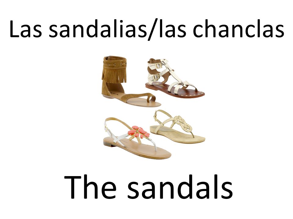 Las sandalias/las chanclas The sandals