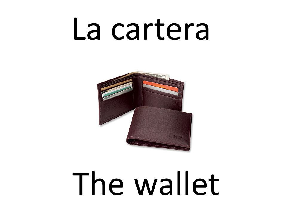 La cartera The wallet