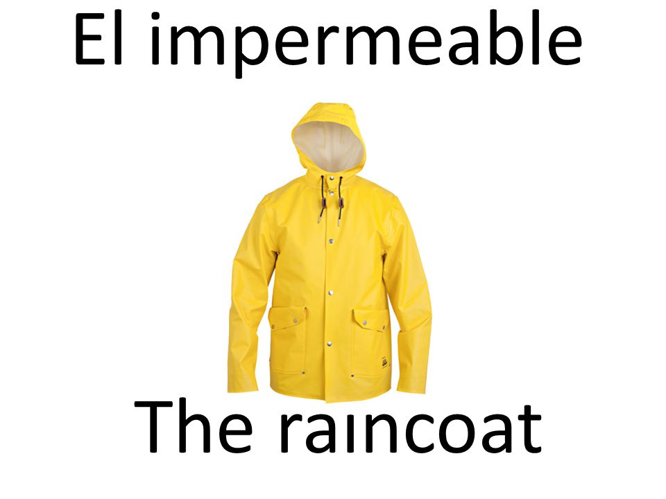 El impermeable The raincoat
