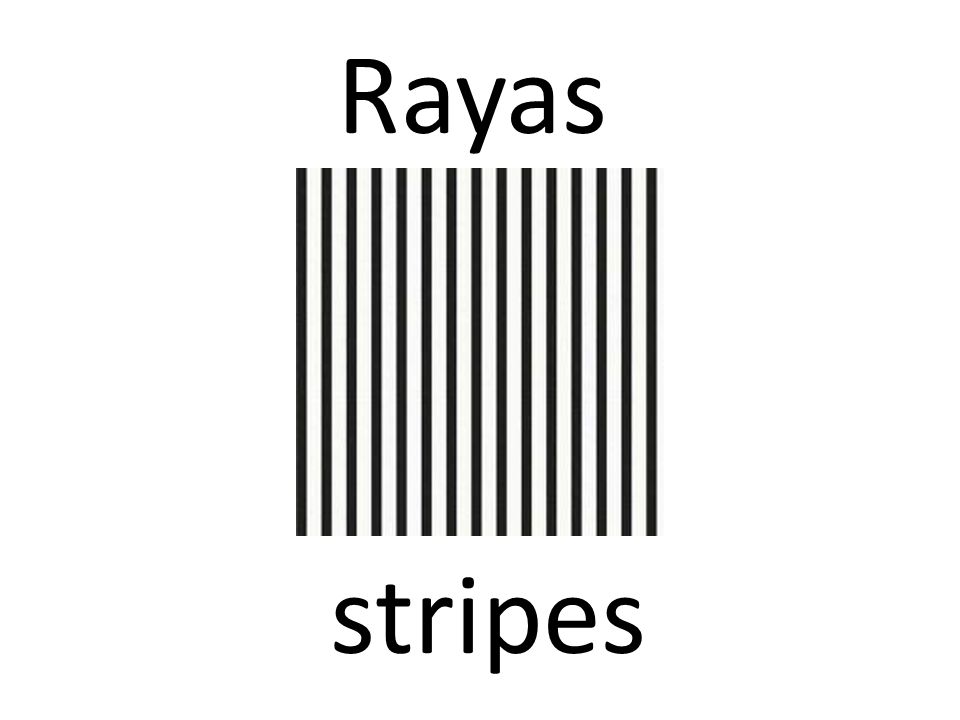 Rayas stripes