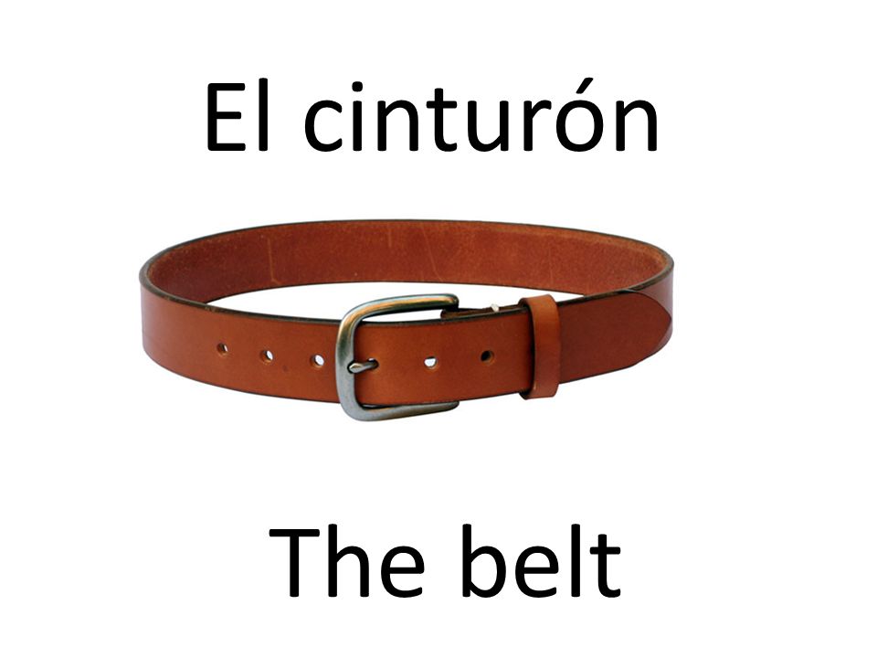 El cinturón The belt