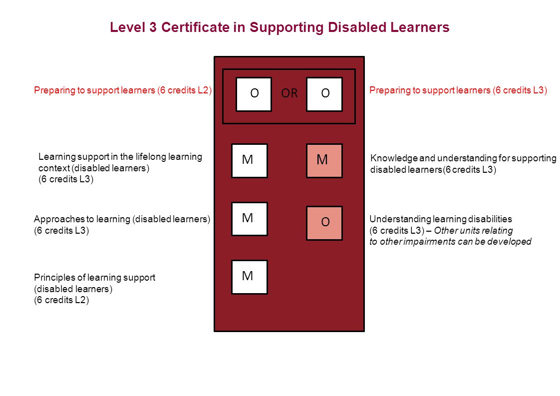 Level 3 Certificate in Supporting Disabled Learners OR M M M OO O M Preparing to support learners (6 credits L2)Preparing to support learners (6 credits L3) Learning support in the lifelong learning context (disabled learners) (6 credits L3) Approaches to learning (disabled learners) (6 credits L3) Principles of learning support (disabled learners) (6 credits L2) Understanding learning disabilities (6 credits L3) – Other units relating to other impairments can be developed Knowledge and understanding for supporting disabled learners(6 credits L3)
