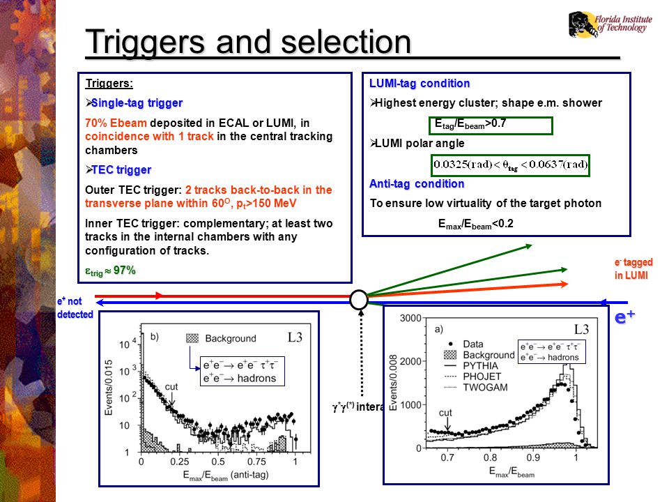 Rguhs thesis dissertation ppt