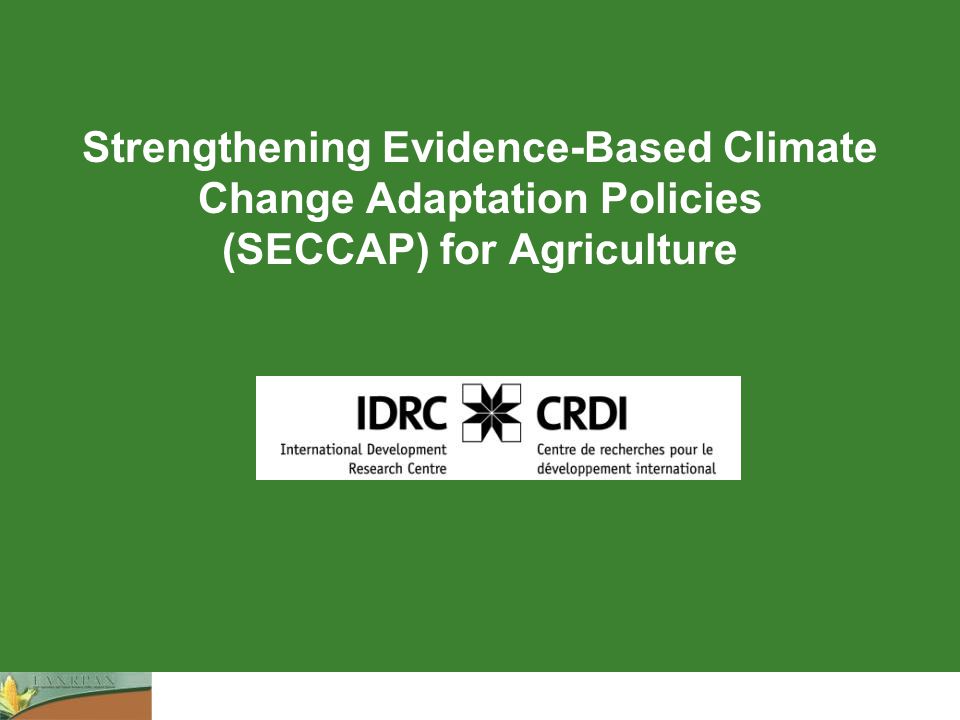 Strengthening Evidence-Based Climate Change Adaptation Policies (SECCAP) for Agriculture