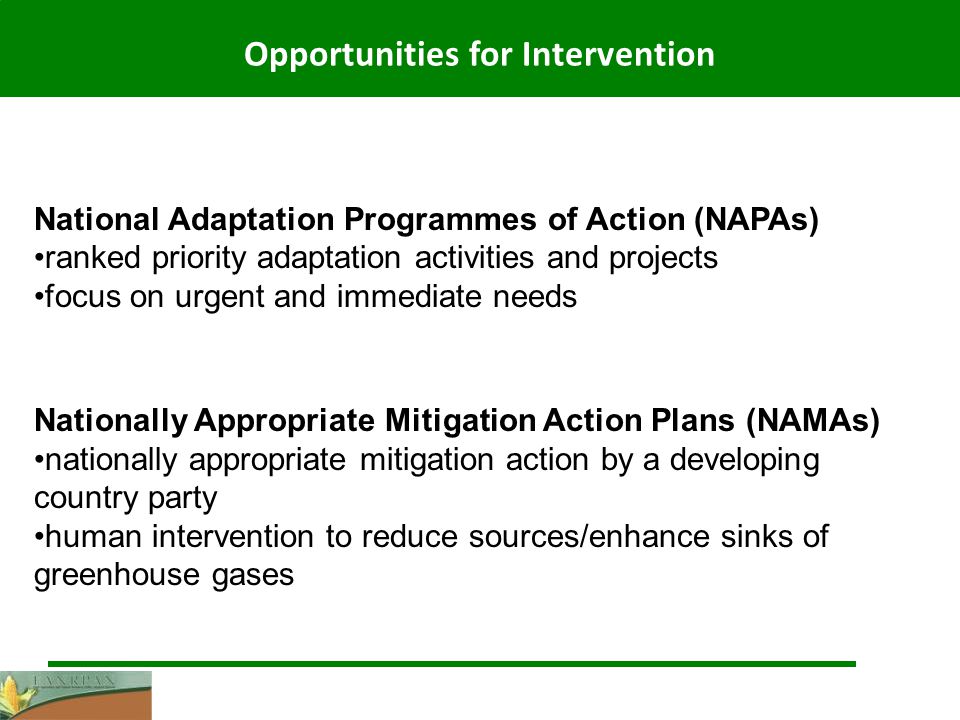 Opportunities for Intervention National Adaptation Programmes of Action (NAPAs) ranked priority adaptation activities and projects focus on urgent and immediate needs Nationally Appropriate Mitigation Action Plans (NAMAs) nationally appropriate mitigation action by a developing country party human intervention to reduce sources/enhance sinks of greenhouse gases
