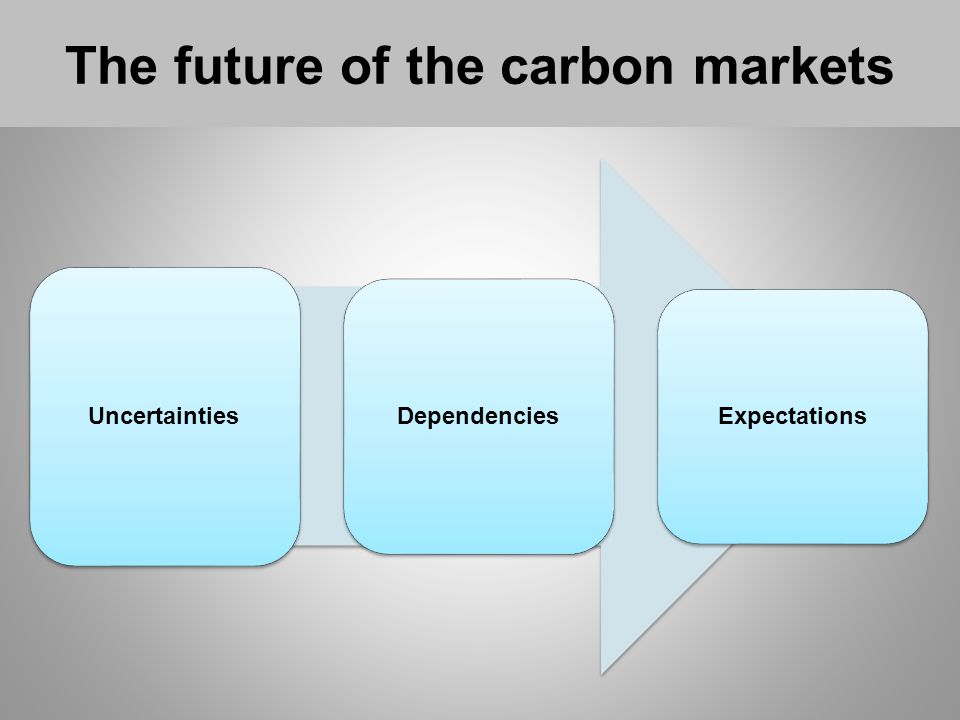 The future of the carbon markets Uncertainties Dependencies Expectations