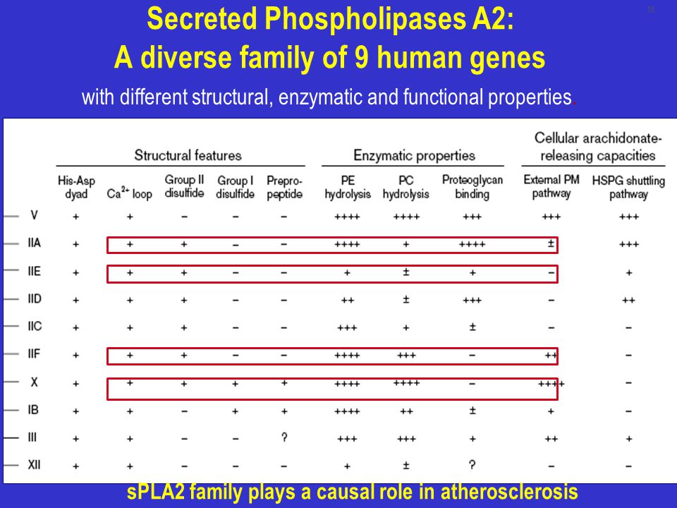 Secreted Phospholipases A2: A diverse family of 9 human genes with different structural, enzymatic and functional properties.