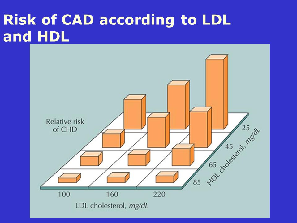 Risk of CAD according to LDL and HDL