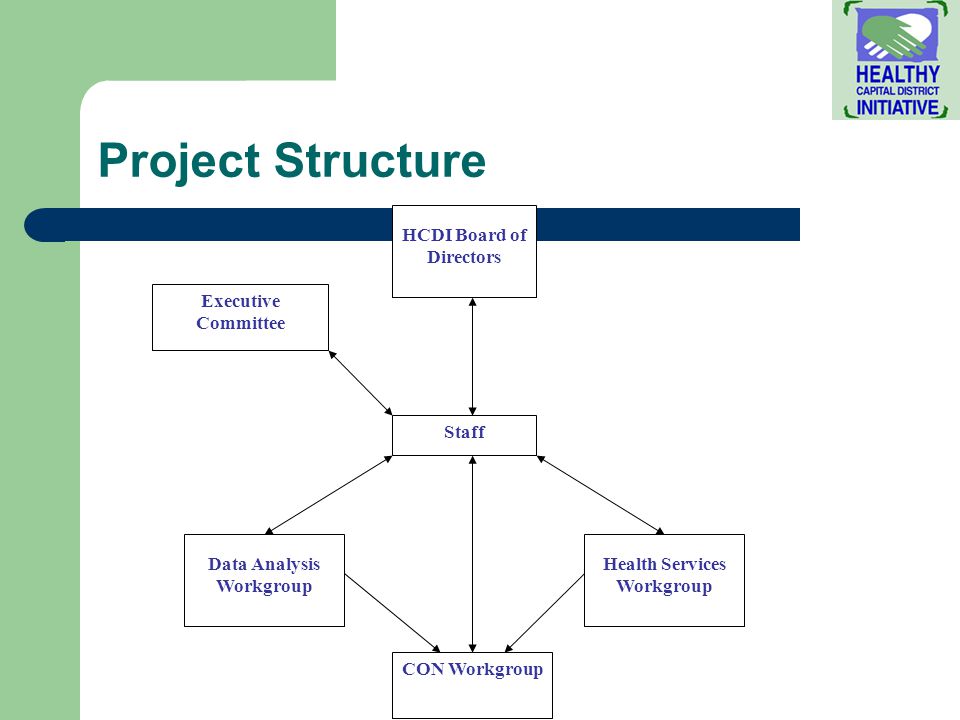 Project Structure HCDI Board of Directors Staff Health Services Workgroup Executive Committee Data Analysis Workgroup CON Workgroup
