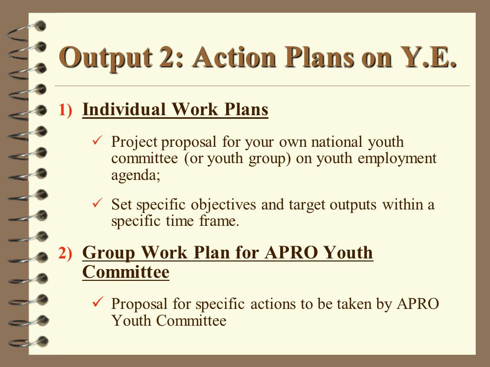 Output 2: Action Plans on Y.E.