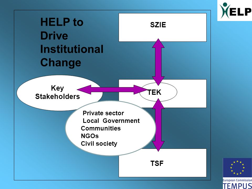 Key Stakeholders TEK TSF SZIE HELP to Drive Institutional Change Private sector Local Government Communities NGOs Civil society