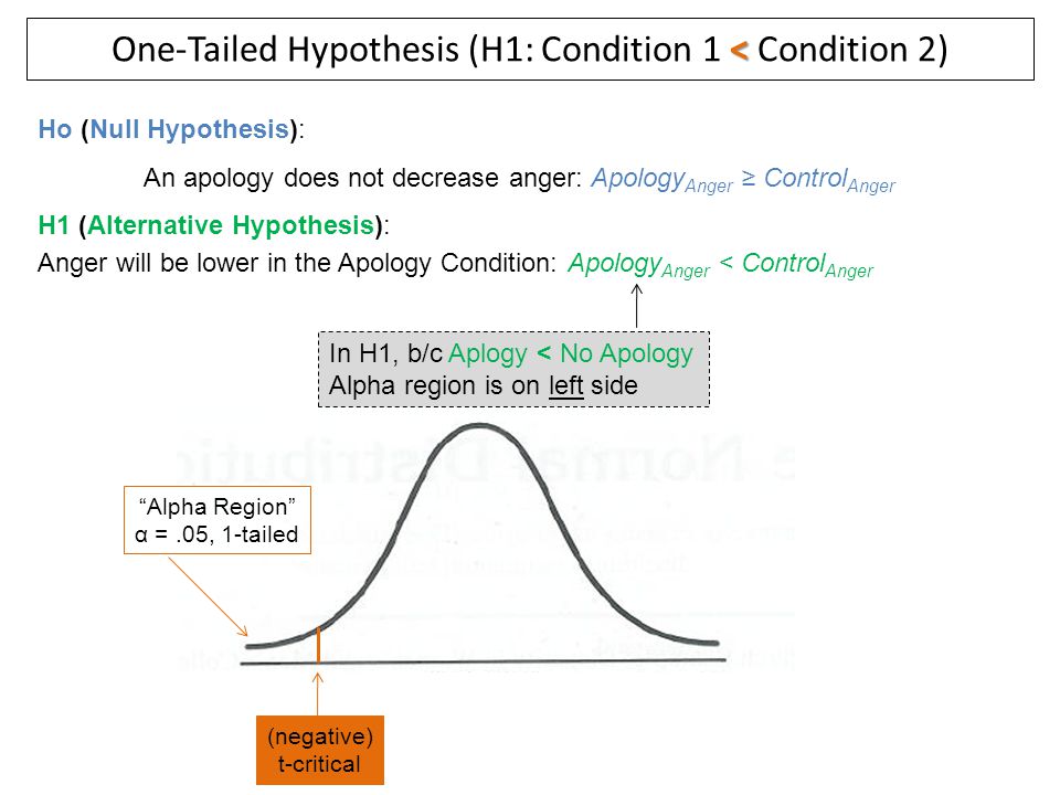 Hypothesys