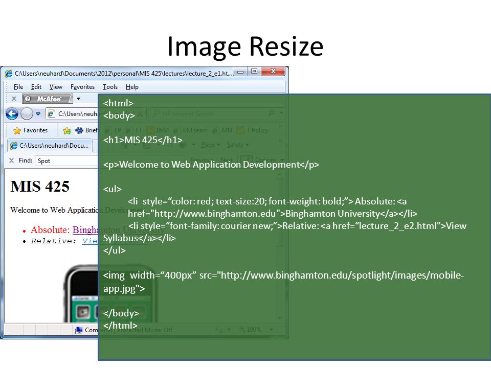 Image Resize MIS 425 Welcome to Web Application Development Absolute: Binghamton University Relative: View Syllabus