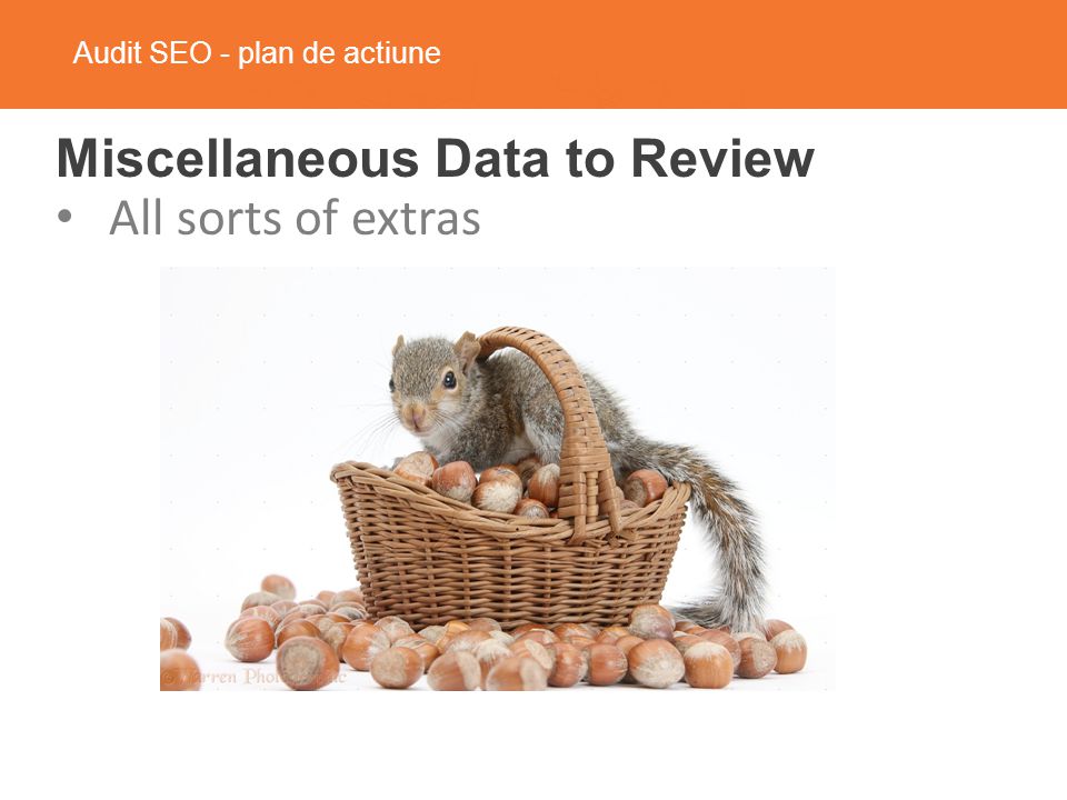 Audit SEO - plan de actiune Miscellaneous Data to Review All sorts of extras
