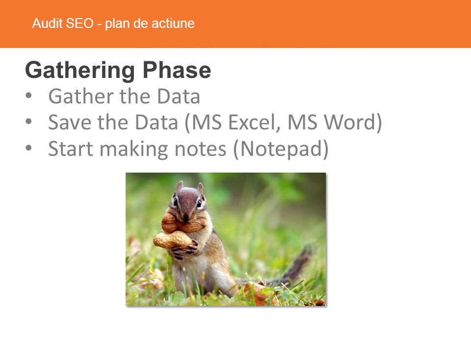 Audit SEO - plan de actiune Gathering Phase Gather the Data Save the Data (MS Excel, MS Word) Start making notes (Notepad)