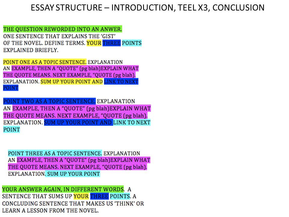 Structure of an essay response