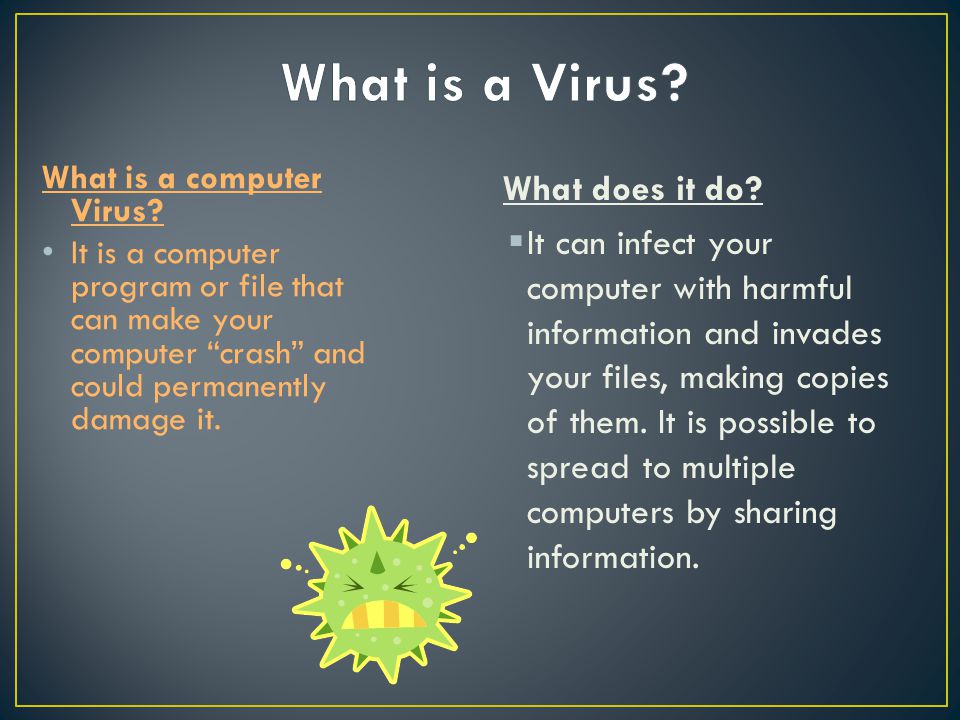 What is a computer Virus.