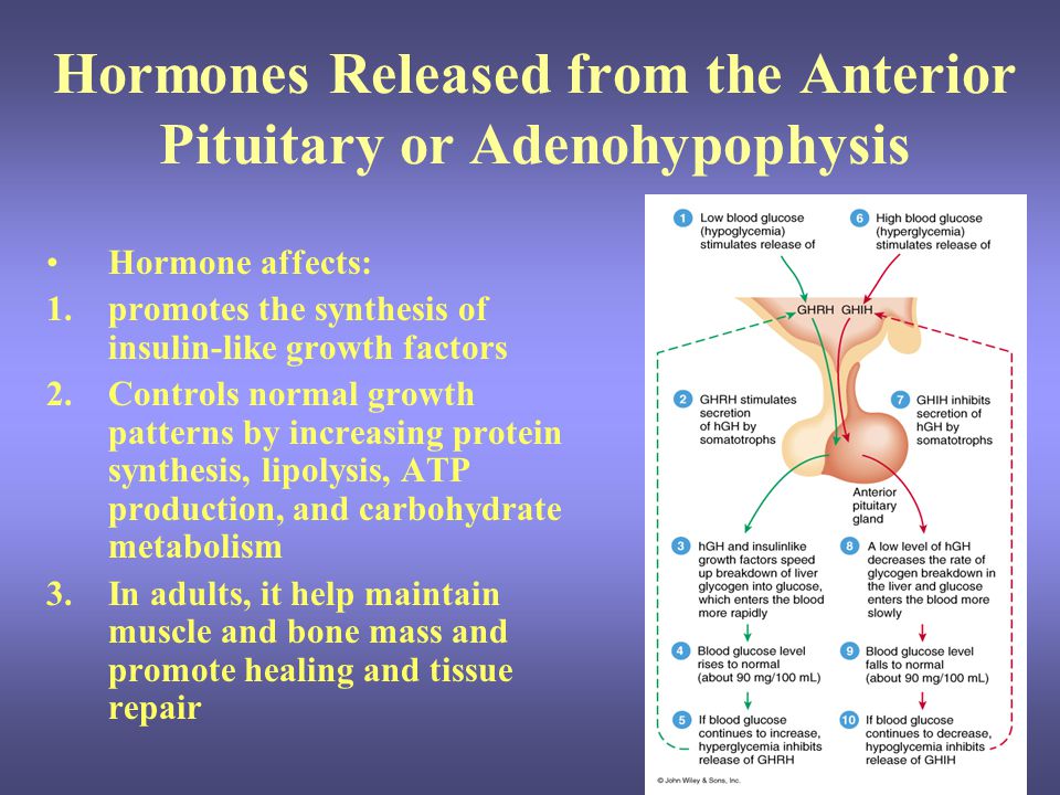 growth hormone photns The role of protein in hormone enzyme functions proteins are very important particles in our cells growth hormone +photns related essays. growth hormone photns The role of protein in hormone enzyme functions proteins are very important particles in our cells growth hormone +photns related essays.