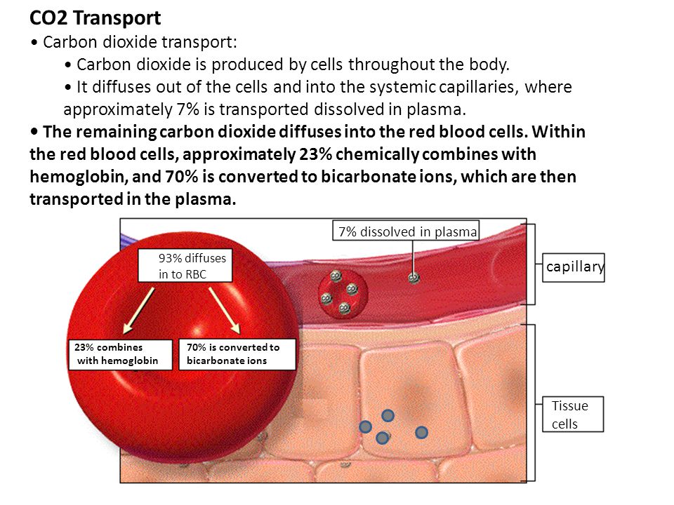 CO2 Transport Carbon dioxide transport: Carbon dioxide is produced by cells throughout the body.
