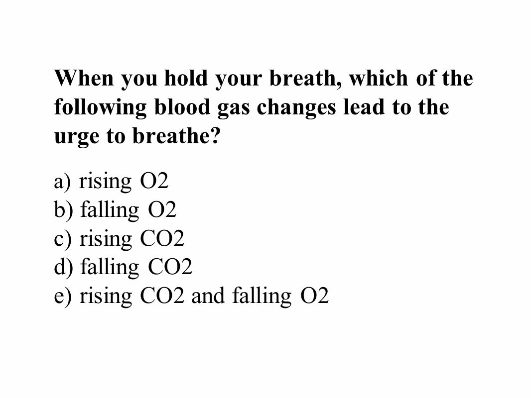 When you hold your breath, which of the following blood gas changes lead to the urge to breathe.