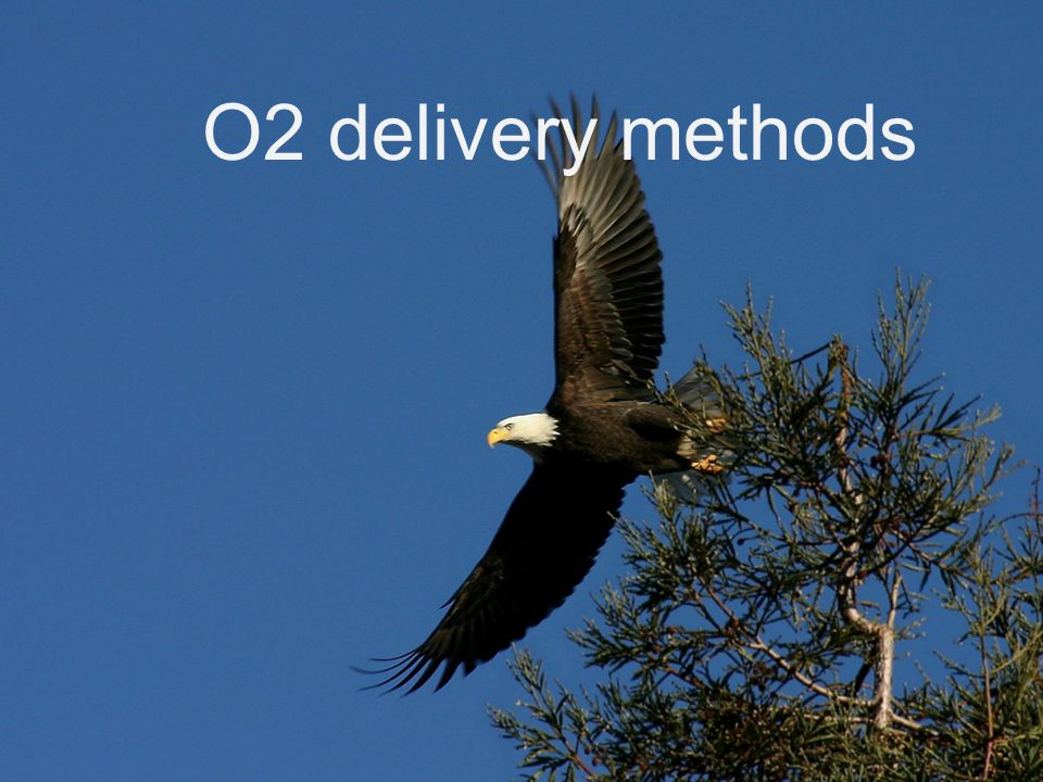 O2 delivery methods