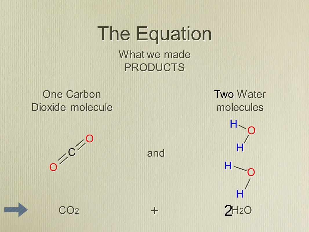 The Equation What we made PRODUCTS What we made PRODUCTS and One Carbon Dioxide molecule C C O O O O Two Water molecules H H H H O O O O H H H H CO 2 H2OH2O H2OH2O