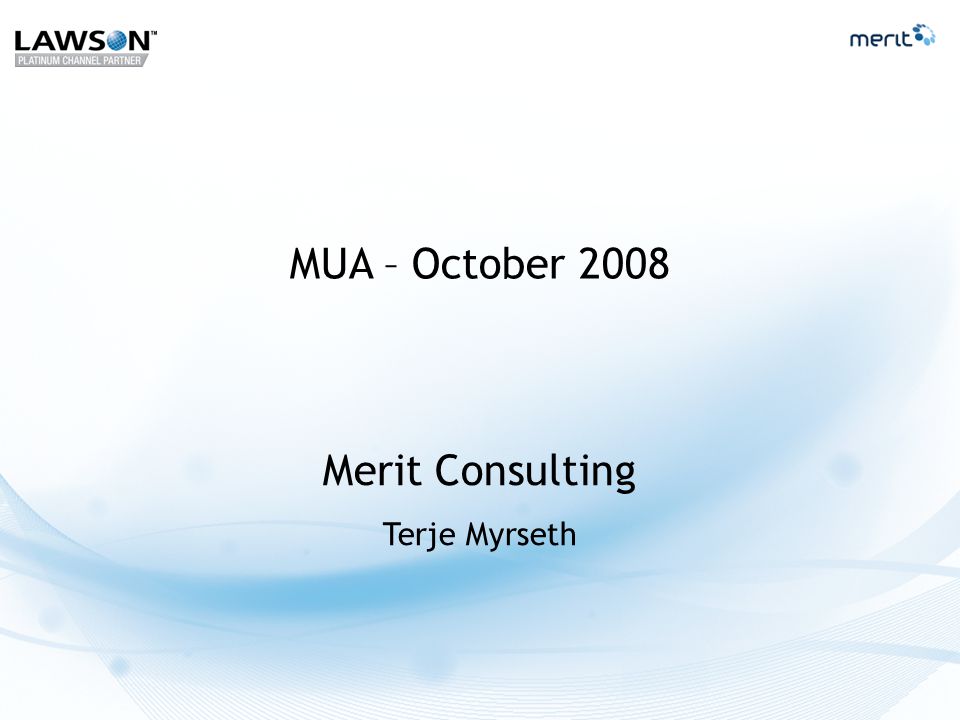 Merit Consulting Terje Myrseth MUA – October 2008