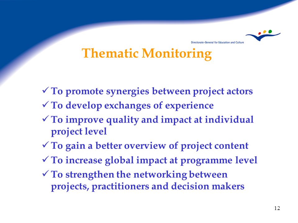 12 Thematic Monitoring To promote synergies between project actors To develop exchanges of experience To improve quality and impact at individual project level To gain a better overview of project content To increase global impact at programme level To strengthen the networking between projects, practitioners and decision makers