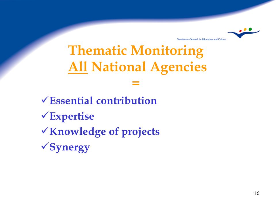 16 Thematic Monitoring All National Agencies = Essential contribution Expertise Knowledge of projects Synergy