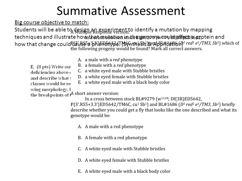 Summative Assessment Big course objective to match: Students will be able to design an experiment to identify a mutation by mapping techniques and illustrate how that mutation in the genome could affect a protein and how that change could cause a phenotype.