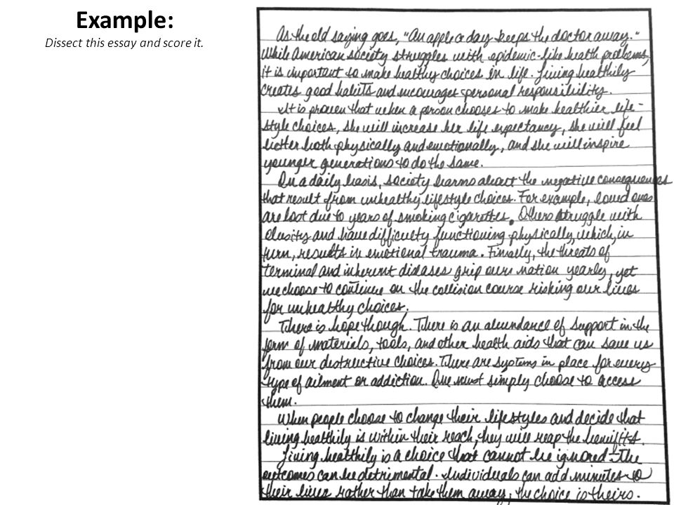 informational essay example images about writing