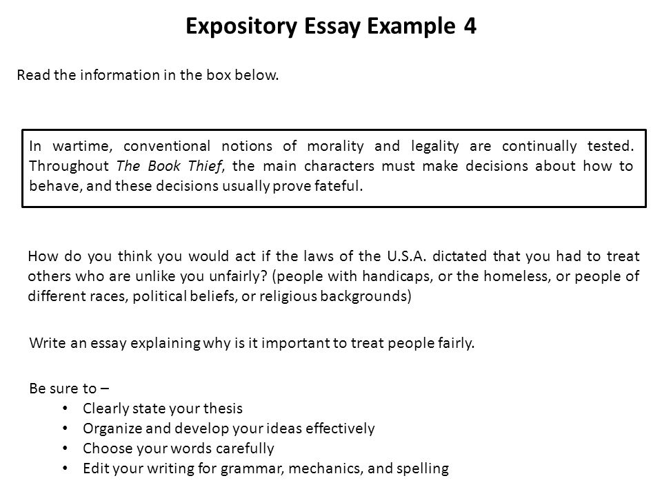 what is a expository essay examples