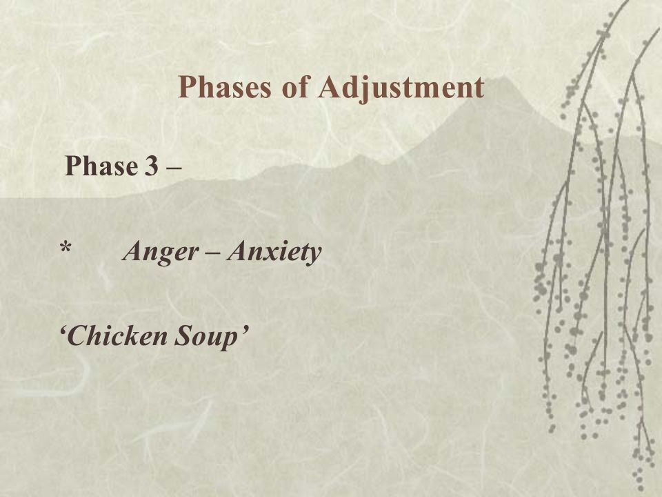 Phases of Adjustment Phase 3 – *Anger – Anxiety ‘Chicken Soup’