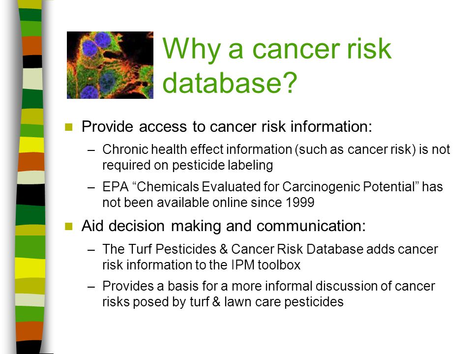 Pesticide health cancer