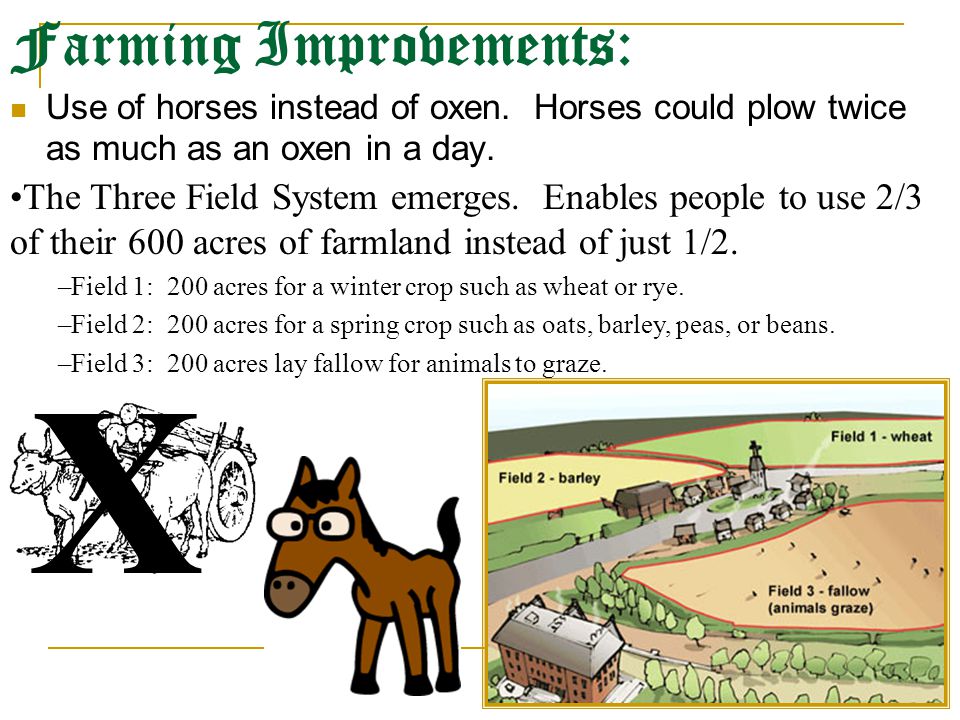 Farming Improvements: Use of horses instead of oxen.