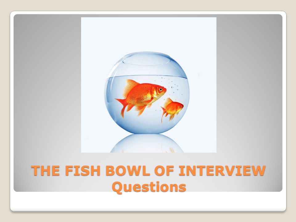 THE FISH BOWL OF INTERVIEW Questions