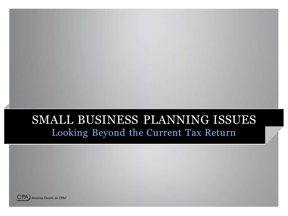 SMALL BUSINESS PLANNING ISSUES Looking Beyond the Current Tax Return