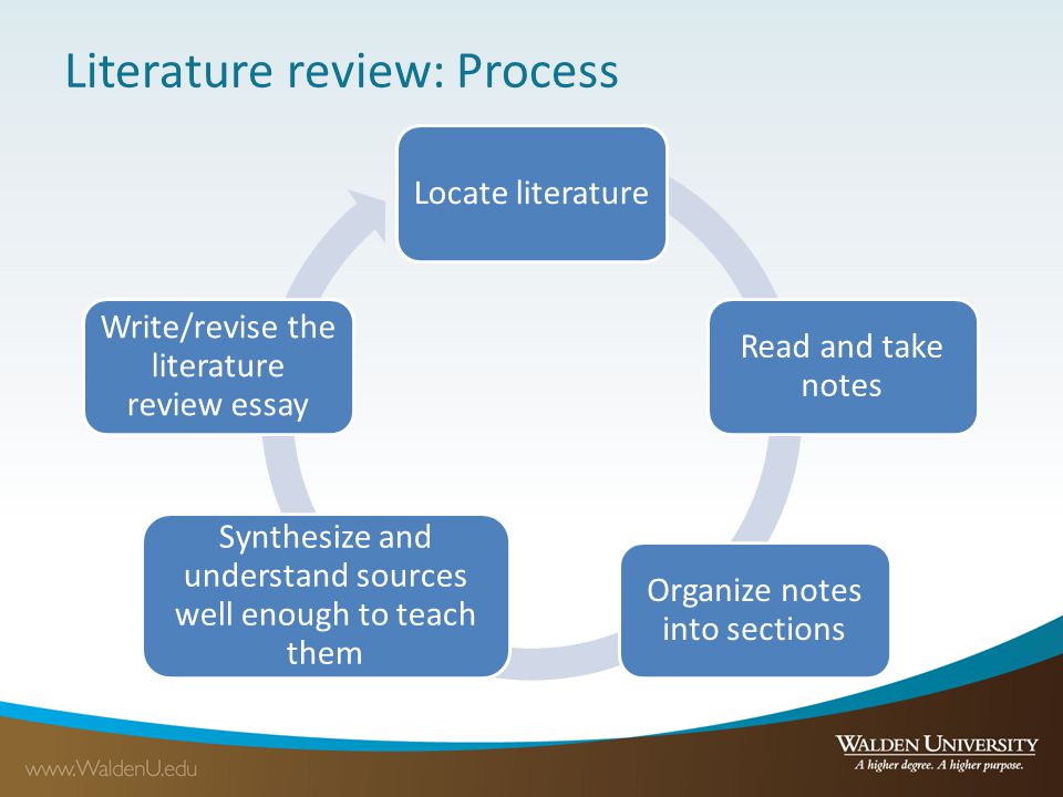 literature review essays
