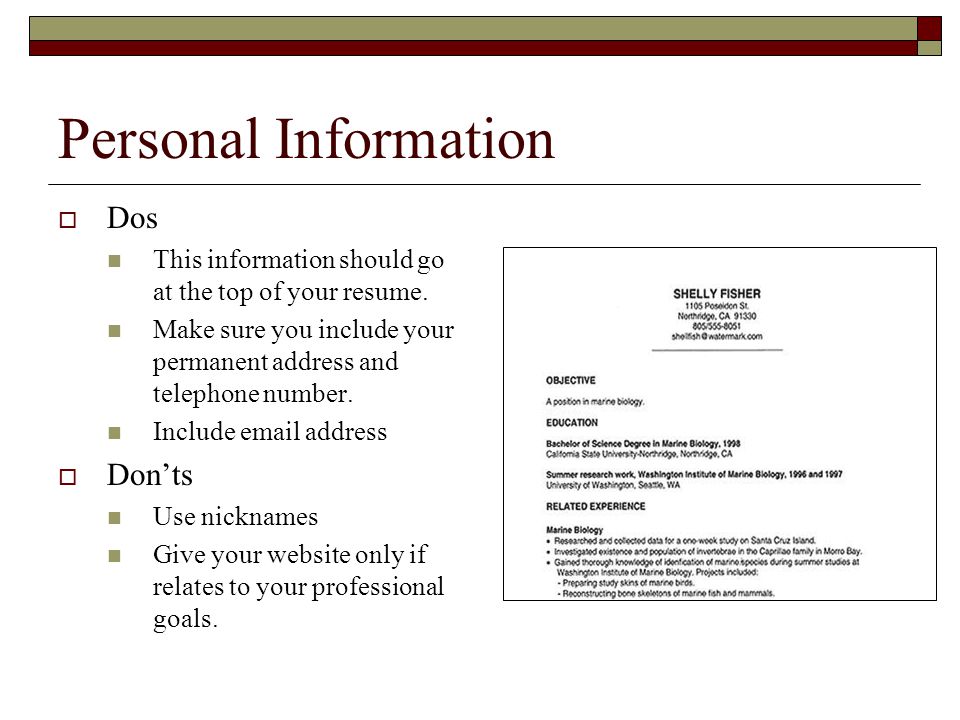 what should you include in a resumes