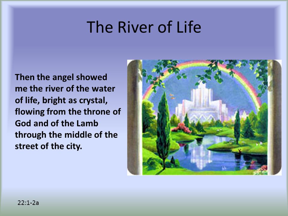 The River of Life Then the angel showed me the river of the water of life, bright as crystal, flowing from the throne of God and of the Lamb through the middle of the street of the city.