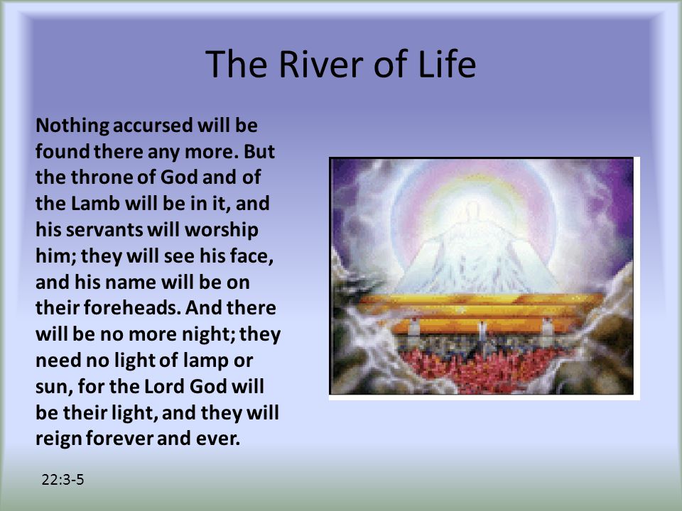 The River of Life Nothing accursed will be found there any more.