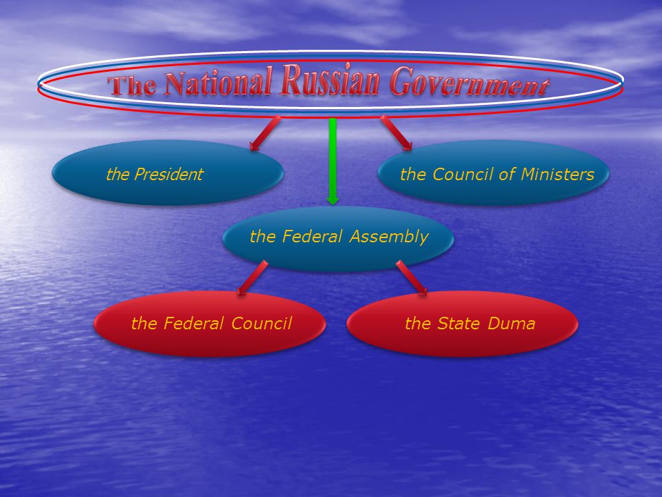 the President the Council of Ministers the Federal Assembly the Federal Councilthe State Duma