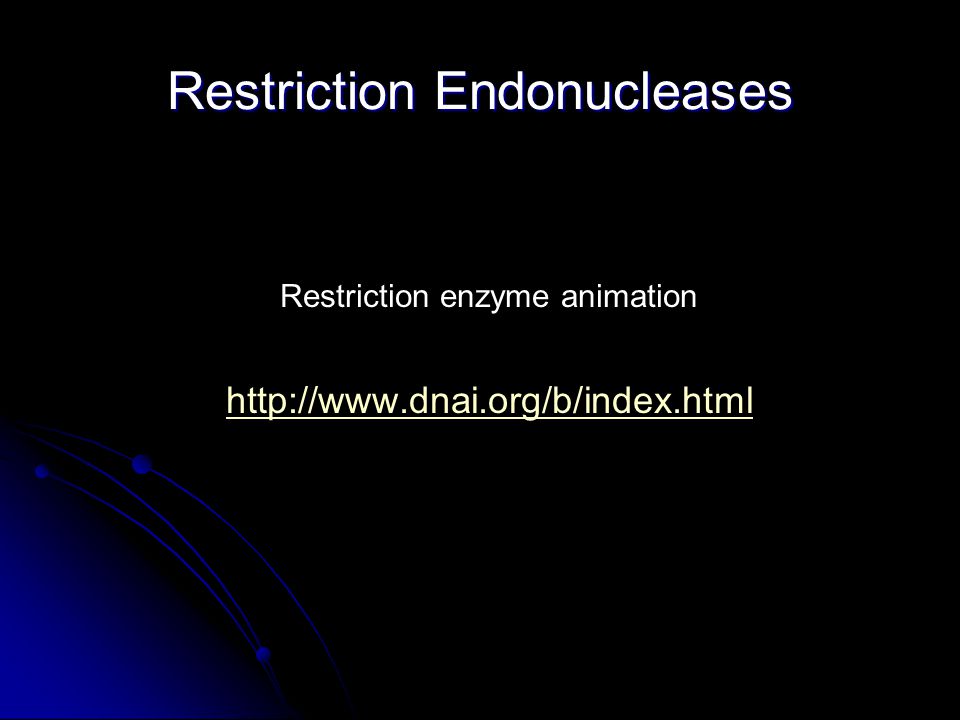 Restriction Endonucleases Restriction enzyme animation