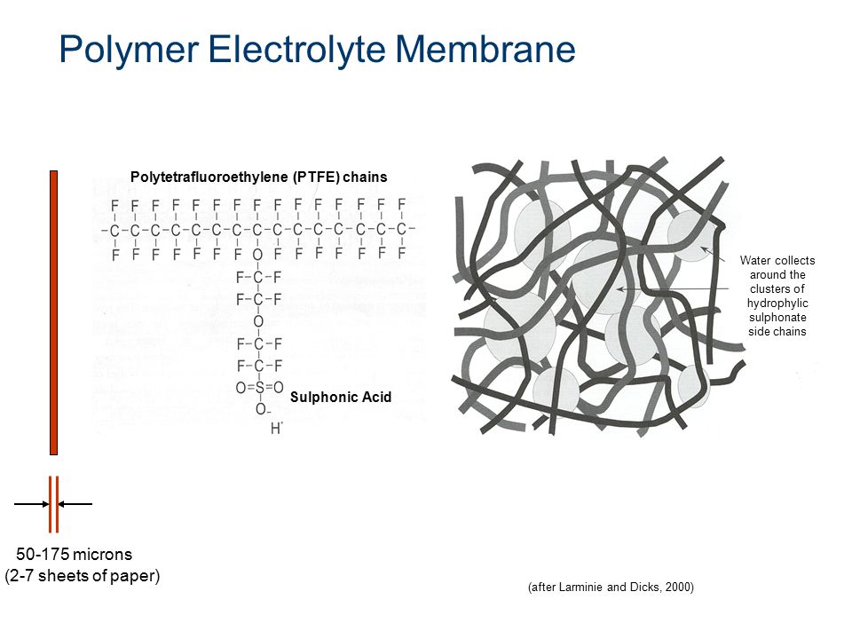 Polymer Electrolyte Membrane (after Larminie and Dicks, 2000) Polytetrafluoroethylene (PTFE) chains Sulphonic Acid microns (2-7 sheets of paper) Water collects around the clusters of hydrophylic sulphonate side chains