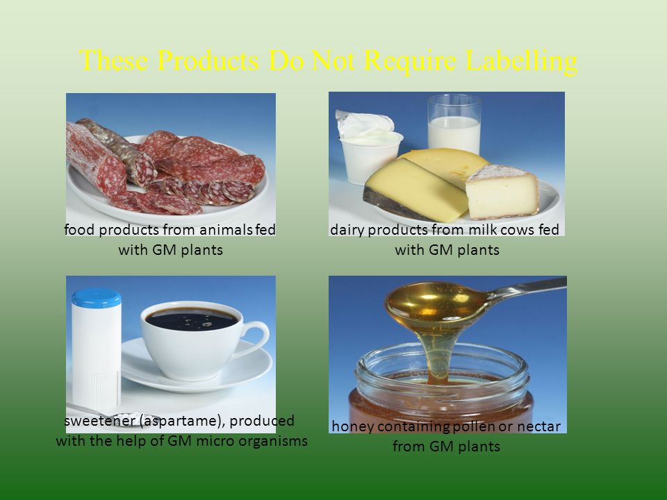These Products Do Not Require Labelling food products from animals fed with GM plants dairy products from milk cows fed with GM plants sweetener (aspartame), produced with the help of GM micro organisms honey containing pollen or nectar from GM plants