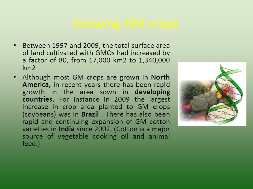 Growing GM crops Between 1997 and 2009, the total surface area of land cultivated with GMOs had increased by a factor of 80, from 17,000 km2 to 1,340,000 km2 Although most GM crops are grown in North America, in recent years there has been rapid growth in the area sown in developing countries.