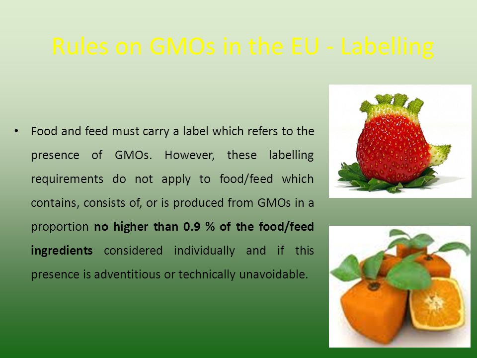 Rules on GMOs in the EU - Labelling Food and feed must carry a label which refers to the presence of GMOs.